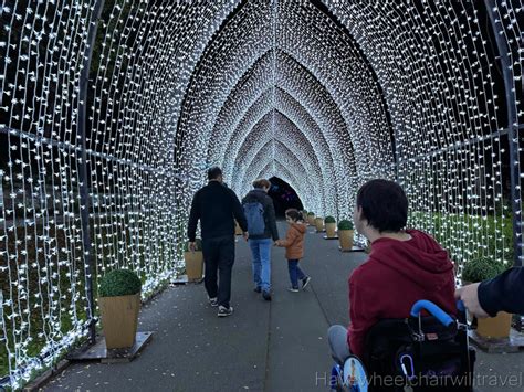 Lightscape - Royal Botanic Gardens Sydney - accessible Sydney - Have Wheelchair Will Travel