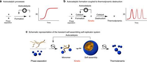 Examples of autocatalysis. a An autocatalytic system based on phase ...