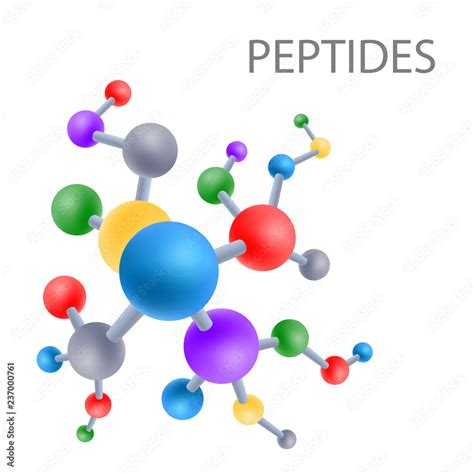 Peptide structure the structure of the amino acid, vector Stock Vector ...