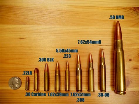 Rifle Caliber Guide - You Will Shoot Your Eye Out