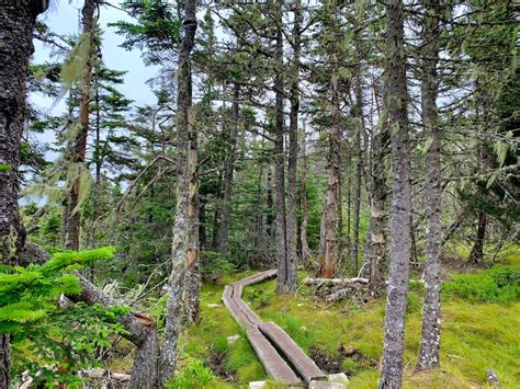 Hikers Guide To The Gaff Point Trail (Nova Scotia, Canada) - Hikers Movement