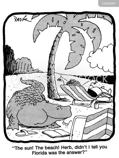 Alligator Attacks Cartoons and Comics - funny pictures from CartoonStock