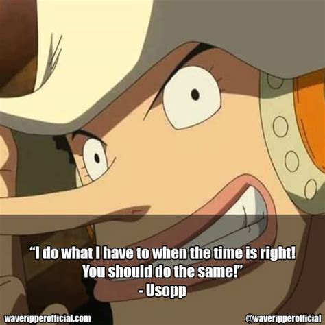 50+ Of The Most Memorable One Piece Quotes Of All Time