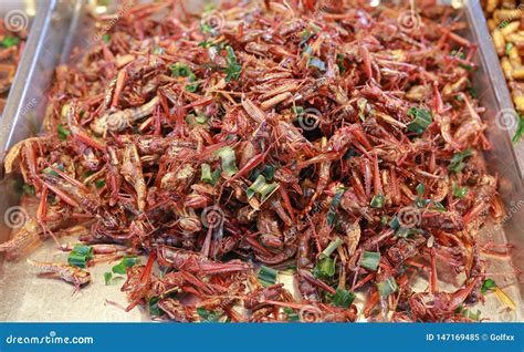 Fried Insects, Thailand Famous Street Food Stock Image - Image of crispy, scary: 147169485