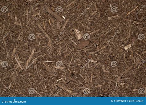 Dark Brown Mulch in a Garden. Stock Image - Image of close, gardening: 149192201