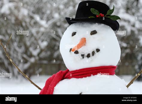 Close up of a snowman with hat scarf and carrot nose Stock Photo - Alamy