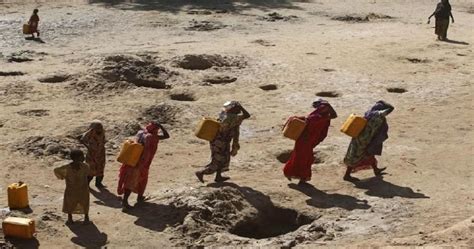 Somalia drought causes '110 deaths in 48 hours' | Africanews