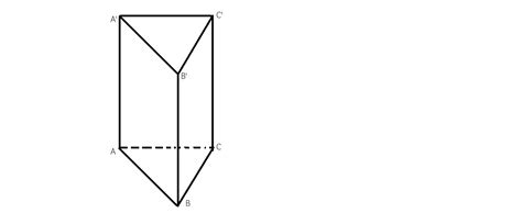 Prisma regulata – Mate Pedia