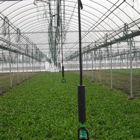 Irrigation System of Greenhouse - Fixed Drop-Hanging Spray and Automobile Drip Arrow Irrigation ...