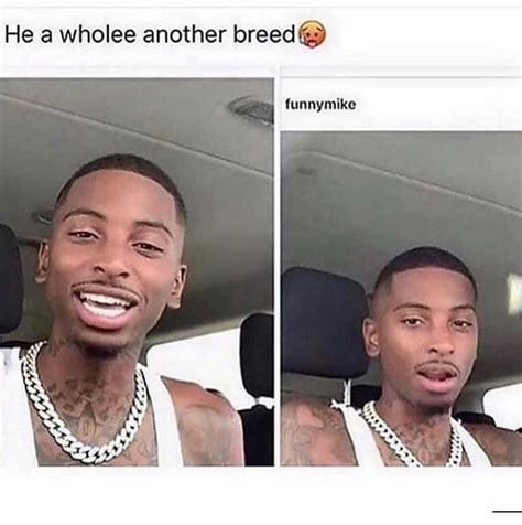 He look like a lizard but a fine lizard🤣 Funny Relatable Quotes, Funny ...