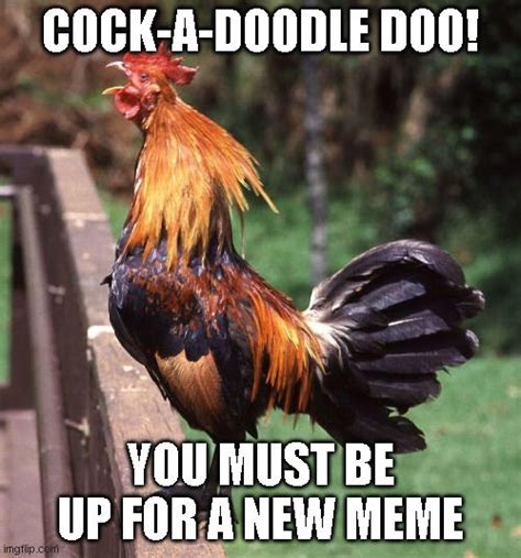 Rooster Meme by SuperMarioFan65 on DeviantArt