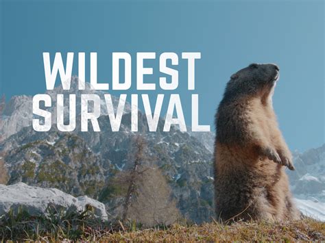 Prime Video: Wildest Survival - Season 2