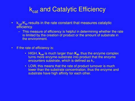 PPT - The Michaelis-Menton Model PowerPoint Presentation, free download - ID:1471692