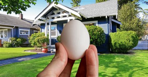 What To Do When Your House Gets Egged? (Stop It For Good!)