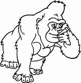 Gorilla Coloring Pages Printable sketch template