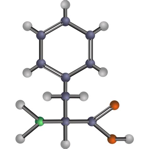 Phenylalanine (amino acid) | Free SVG