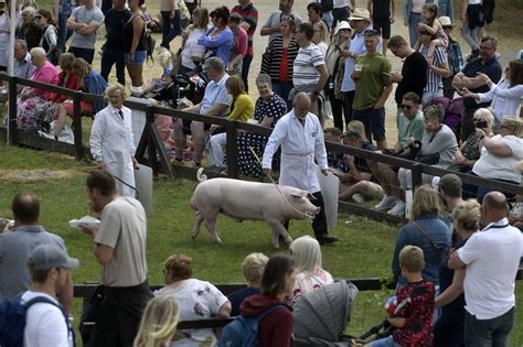 19 brilliant Great Yorkshire Show photos as Countryfile's Matt Baker ...