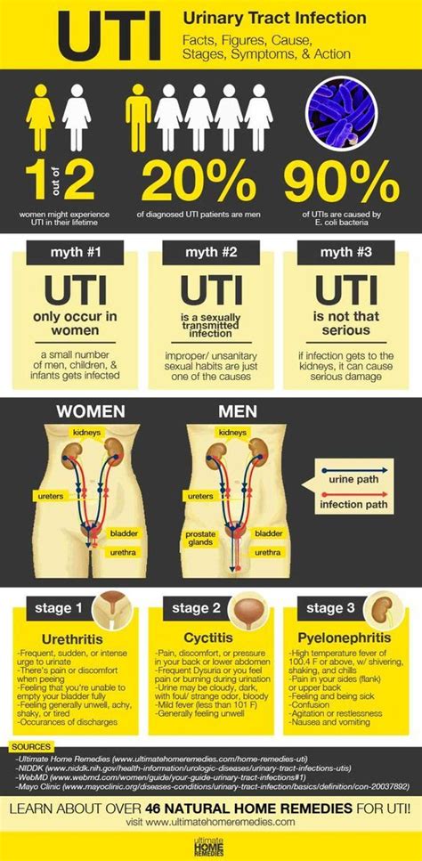 46 Effective And Natural Home Remedies For UTI (ULTIMATE HOW-TO GUIDE ...