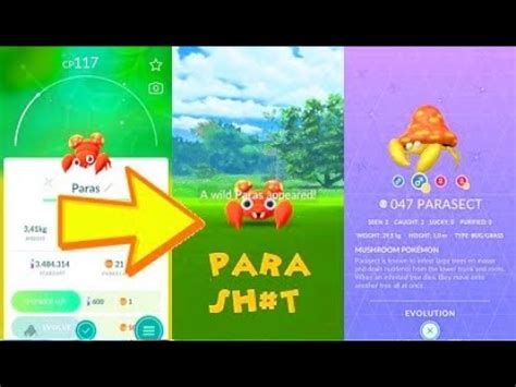 Pokemon Go Shiny Paras Catch & Parasect Evolution After a Whole Year - YouTube