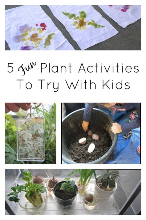 Fun plant activities to try with kids. Great science activities, art ...