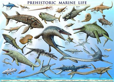 Image result for ancient aquatic dinosaur | Prehistoric, Dinosaur ...