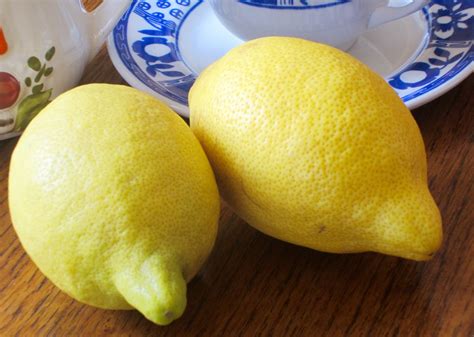 ‘Lisbon’ Lemon – My Favourite Pastime