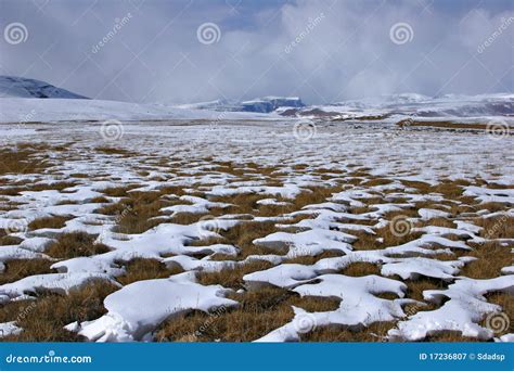 Winter meadows stock image. Image of yellow, cold, kyrgyzstan - 17236807