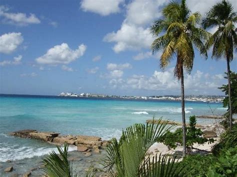 saint michael barbados | Saint Michael Parish, Barbados: View of bay from Hilton gardens | Dream ...