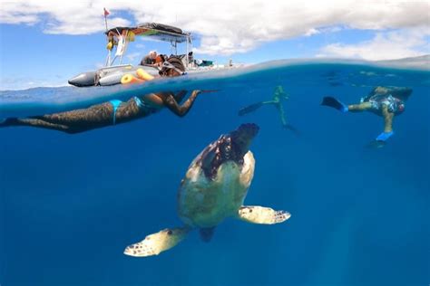 Snorkeling in Lahaina, Maui - Civitatis.com