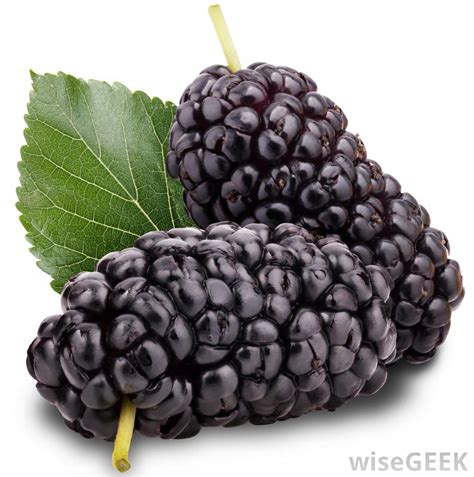 Mulberries nutrition facts and health benefits |HB times