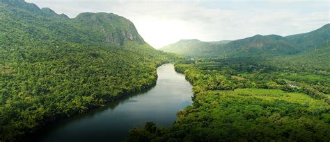 Advantages of Forests in Pakistan: Surce of Oxygen, Wood & More | Zameen Blog