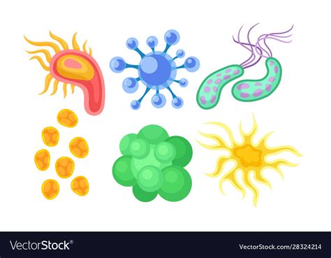 Bacterias and germs collection different types Vector Image