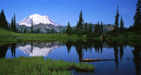 🔥 [40+] Mt Rainier Wallpapers Desktop | WallpaperSafari