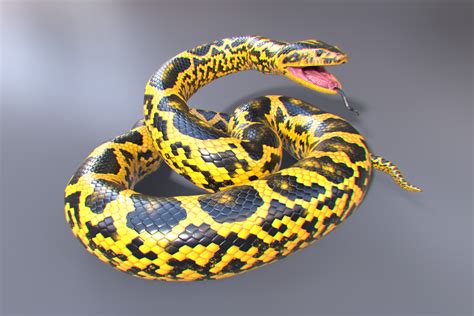 Yellow Anaconda | Characters | Unity Asset Store