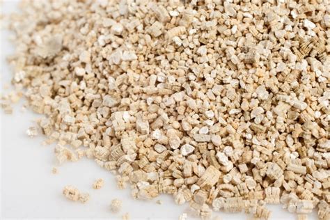 Why Vermiculite Is Still An Excellent Alternative For Gardening