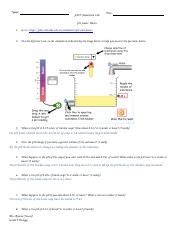 pH scale basics - PhET lab Worksheet.docx - Name: pHeT Simulation Lab ...