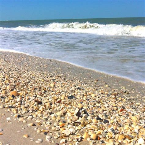 Barefoot Beach Florida