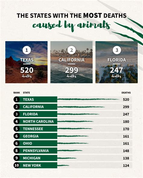 Animal Attacks: The Most Deadly Animals In North America