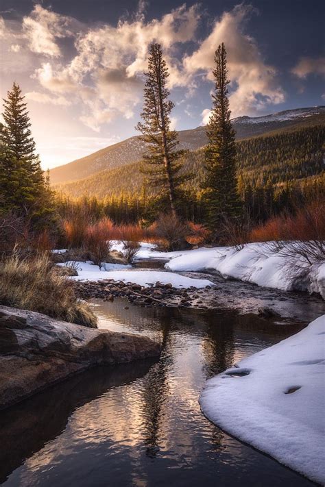 A Lone Winter Pine, Rocky Mountain National Park. [1200x1800] [OC] : r ...