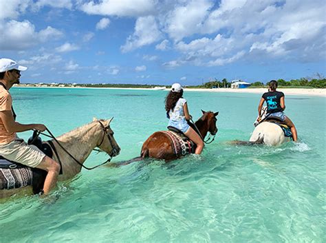 Anguilla Horseback Riding: Anguilla Activities to Cross Off the Bucket List