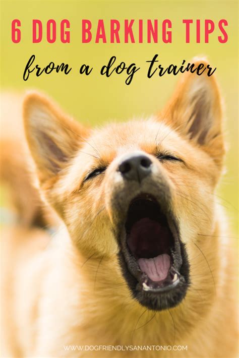 6 Dog Barking Tips from A Dog Trainer - The Dog Guide San Antonio