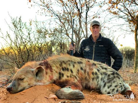 Spotted Hyena Hunting Namibia | AfricaHunting.com