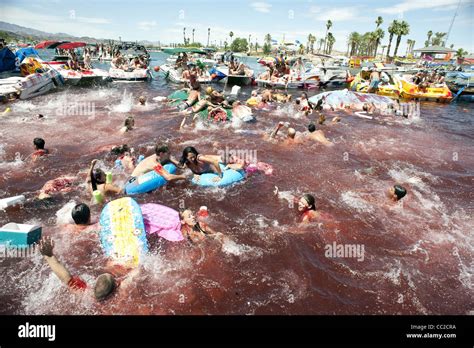 SCHWIMMER-PANIK BEI PIRANHA ANGRIFF PIRANHA 3D (2010 Stockfoto, Bild: 41850574 - Alamy