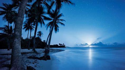 Starry night sky over the beach wallpaper - backiee