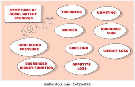 Symptoms Renal Artery Stenosis Vector Illustration Stock Vector (Royalty Free) 1942568800 ...