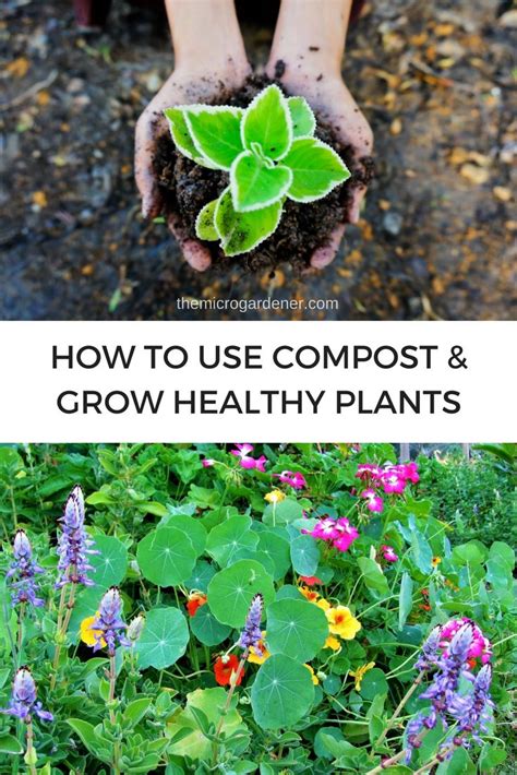 How to Use Compost and 7 Benefits of Composting | Compost, Diy ...