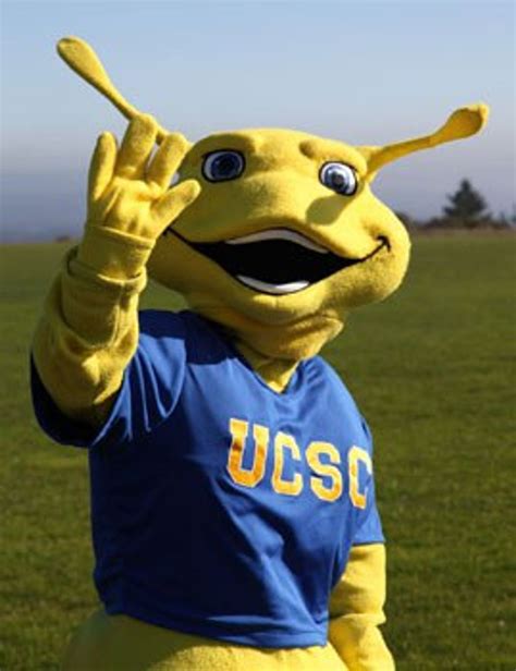 Why UCSC's Banana Slug Is The Best Mascot In College Sports