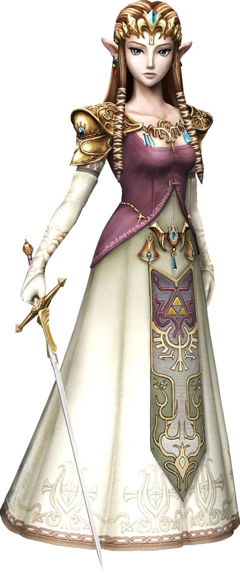 Long time guardian of Hyrule. | Princess zelda, Zelda costume, Twilight princess