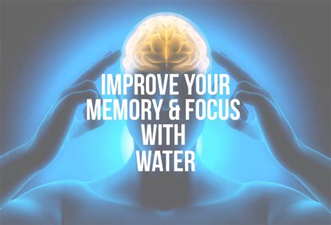 How Can Water Improve Brain Function? - Fountain of Youth