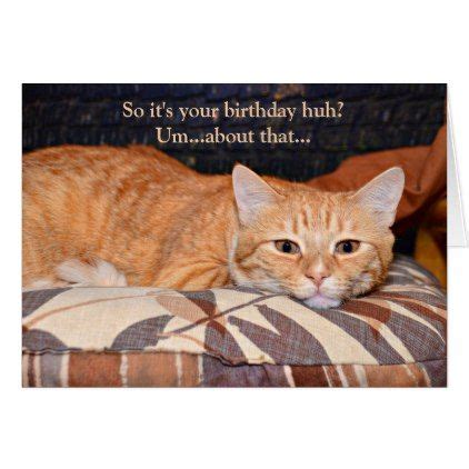 Funny Orange Cat Birthday | Zazzle.com | Cat birthday, Funny orange ...